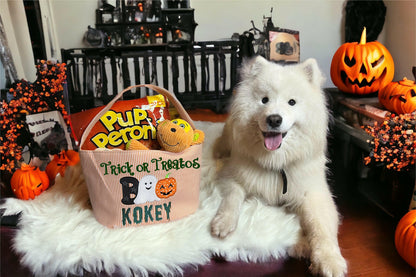 Personalized Halloween Candy Bucket with Applique